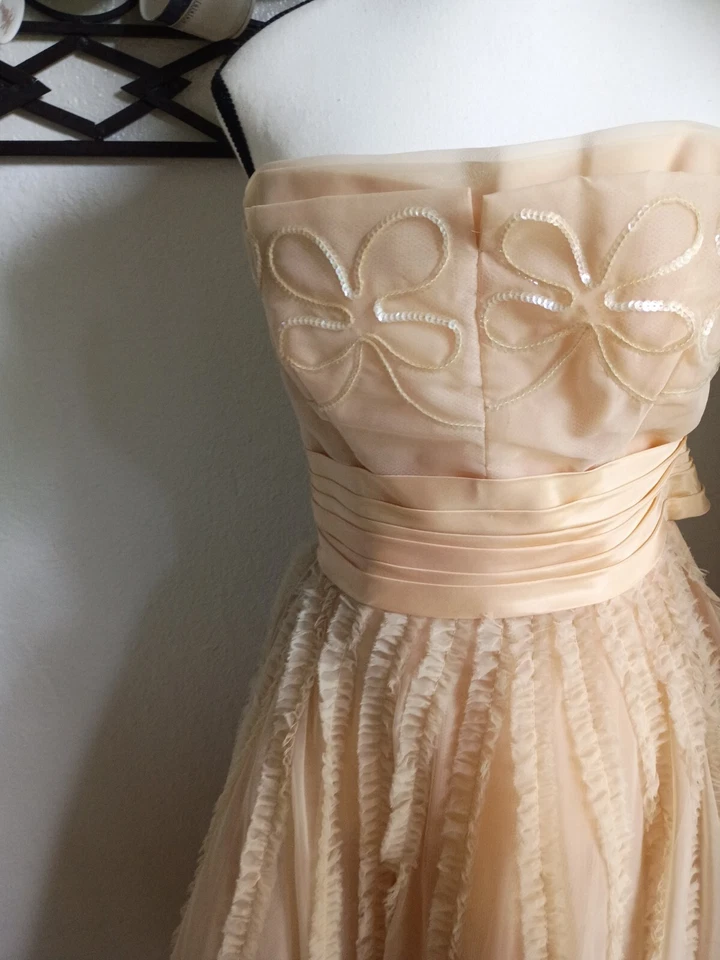 XS Pequeño Taupe Rosa Mujer Vestido Formal Cupcake Vestido Vintage Baile de graduación Enagua Foto 3 de 4