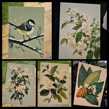 Botanical elegant beautiful minimal modern art print postcard set of 5