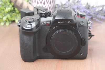 25+ Panasonic LUMIX GH5s Digital Cameras for sale | Updated Oct 2026