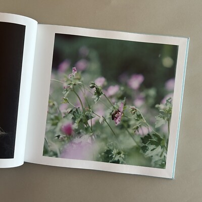 Rinko Kawauchi & Shuntaro Tanikawa Here and Now Hardcover Photo