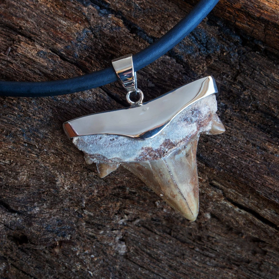 Haizahn Fossil 925er Silber Ketten Anhänger Haifischzahn Surfer Herren Damen - Bild 2 von 4