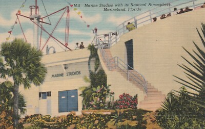 Marine Studios With Its Natural Atmosphere Marineland Florida Linen Postcard