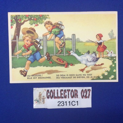 Boy Scout Au Secours ! Elle Est Dechainee French Post Card 2311C1
