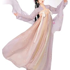 Women's Chinese Hanfu Qixiong Ruqun Sheer Top Tube Dress Outfit Tang Dynasty
