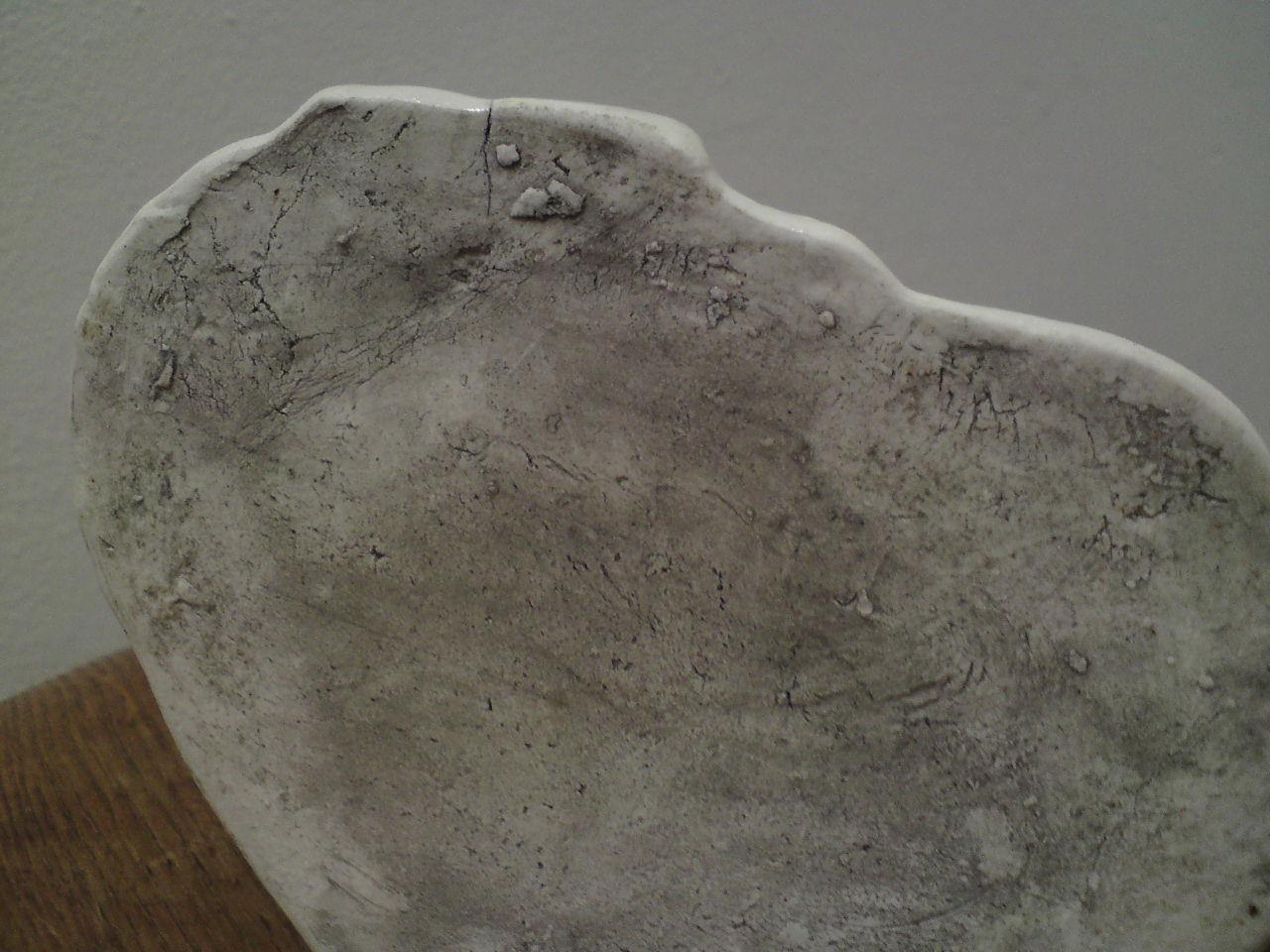 Picture 5 of 15