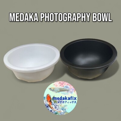 Medaka Rice Fish Bowl Matte Black and White Sorting and Photography of Ricefish