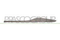 Prasco Zier-/Schutzleiste, TüR Hinten, Links FüR Renault