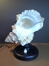 Vintage Mid Century Sea Shell Table Lamp