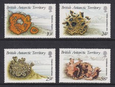 BRITISH ANTARCTIC TERRITORY 1989 QEII Lichens set of 4 SG 167-170 MNH/**