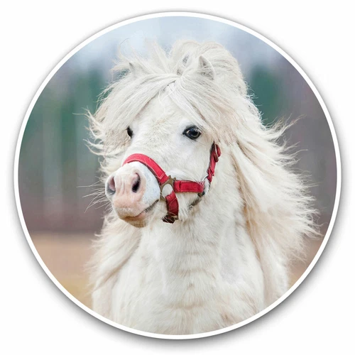 2 x Vinyl Stickers 20cm - White Shetland Pony Animals Pets Cute Cool Gift #8337