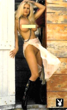 TK 287 & 364 Phone Card / Phonecard Playboy IX