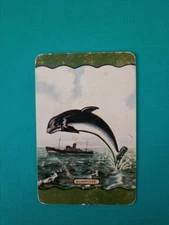 Swap Card, Authentic Vintage 50s Coles Card. PORPOISE