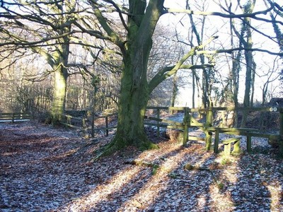 Foto A2 Wege divergieren Hinchwick geradeaus führt zum Gestüt Sezincote c2010