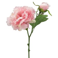 Kunstblume PEONIE, Pfingstrose, Päonie mit 2...