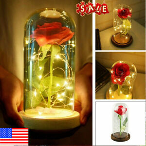 Eternal Beauty and the Beast LED Light Galaxy Rose in Glass Dome Valentines Gift 