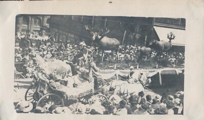 Snapshot Vintage Photo Parade Float Moose Animals Horse People Crowd Celebration