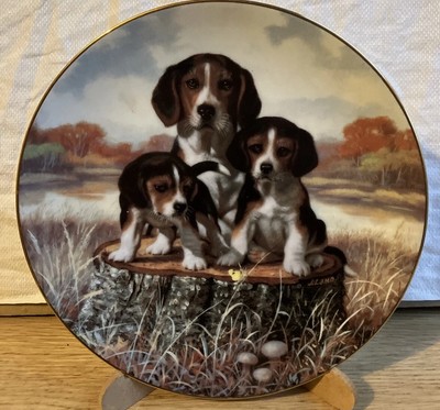 Hamilton Sammelteller 1991 Jim Lamb The Lookout Sport Generation 22 Cm