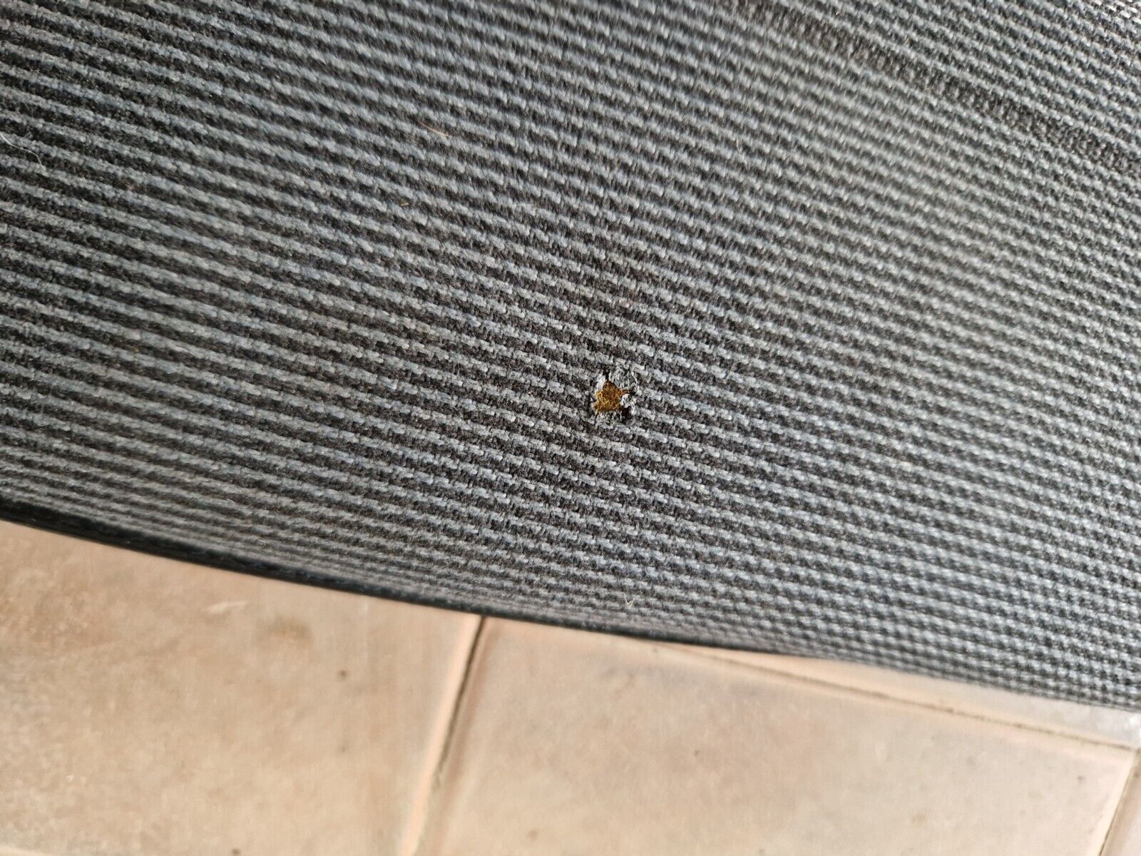 Picture 9 of 12