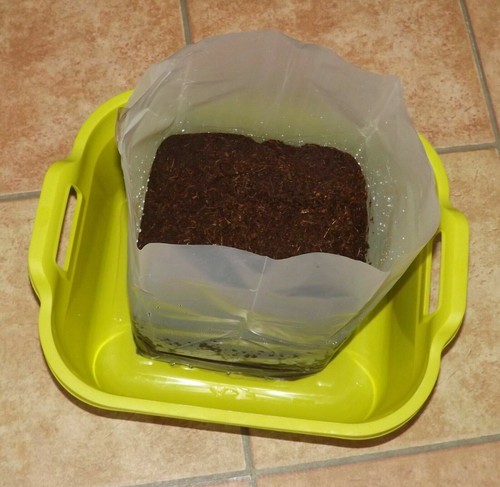 Coco Coir Potting Soil Compost Block Expands Upto 10L Seeds Plants Flowers w/Bag - Picture 5 of 8