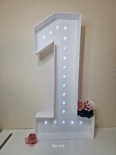 4ft Foamboard LED  Gem Lights Numbers/Letters White, Light up numbers/letters,