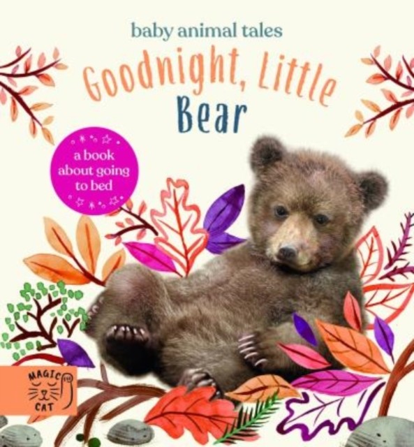 Goodnight, Little Bear A Book About Going to Bed by Amanda Wood (Hardback Book)