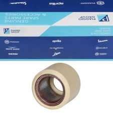 Variomatic Roller Weight 21x17mm 14g for Piaggio Beverly MP3 300 / Vespa GTS 300