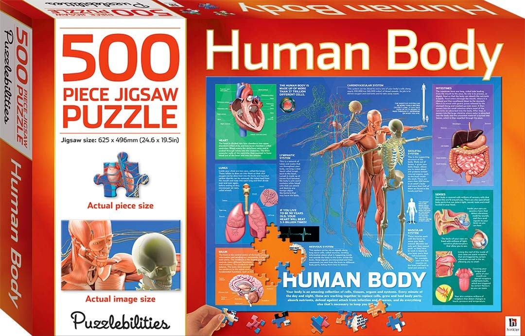 Puzzlebilities Пазлы для детей из 500 деталей - Обучающие игры для домашнего обучения
