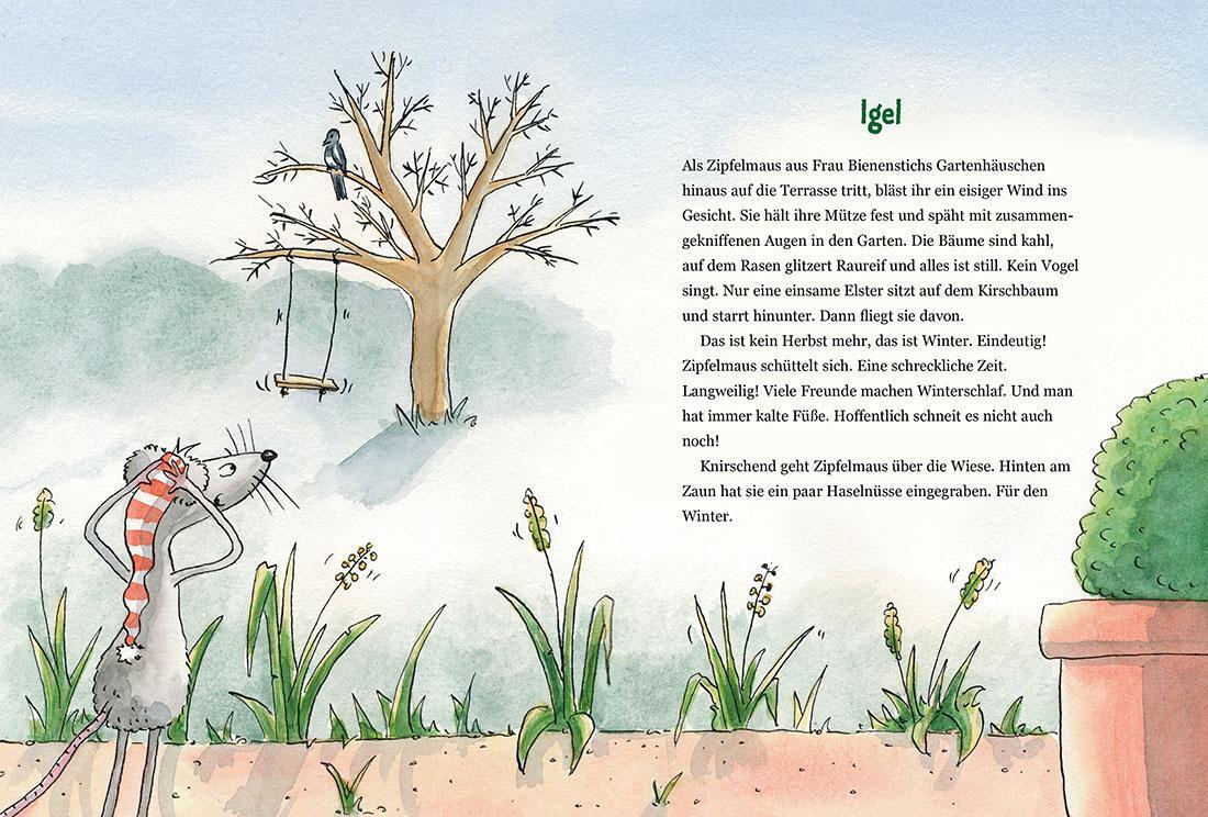 Thumbnail - Zipfelmaus Und Der Wunderbare Weihnachtsplan | Uwe Becker | Buch | 80