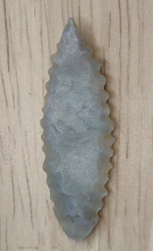 Neolithic Period Arrowhead Sahara Desert Africa 1 1/8 Inch Serrated Willow Leaf