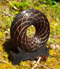 ToruShield PEMF Coil (22.8cm): This is PEMF, ...