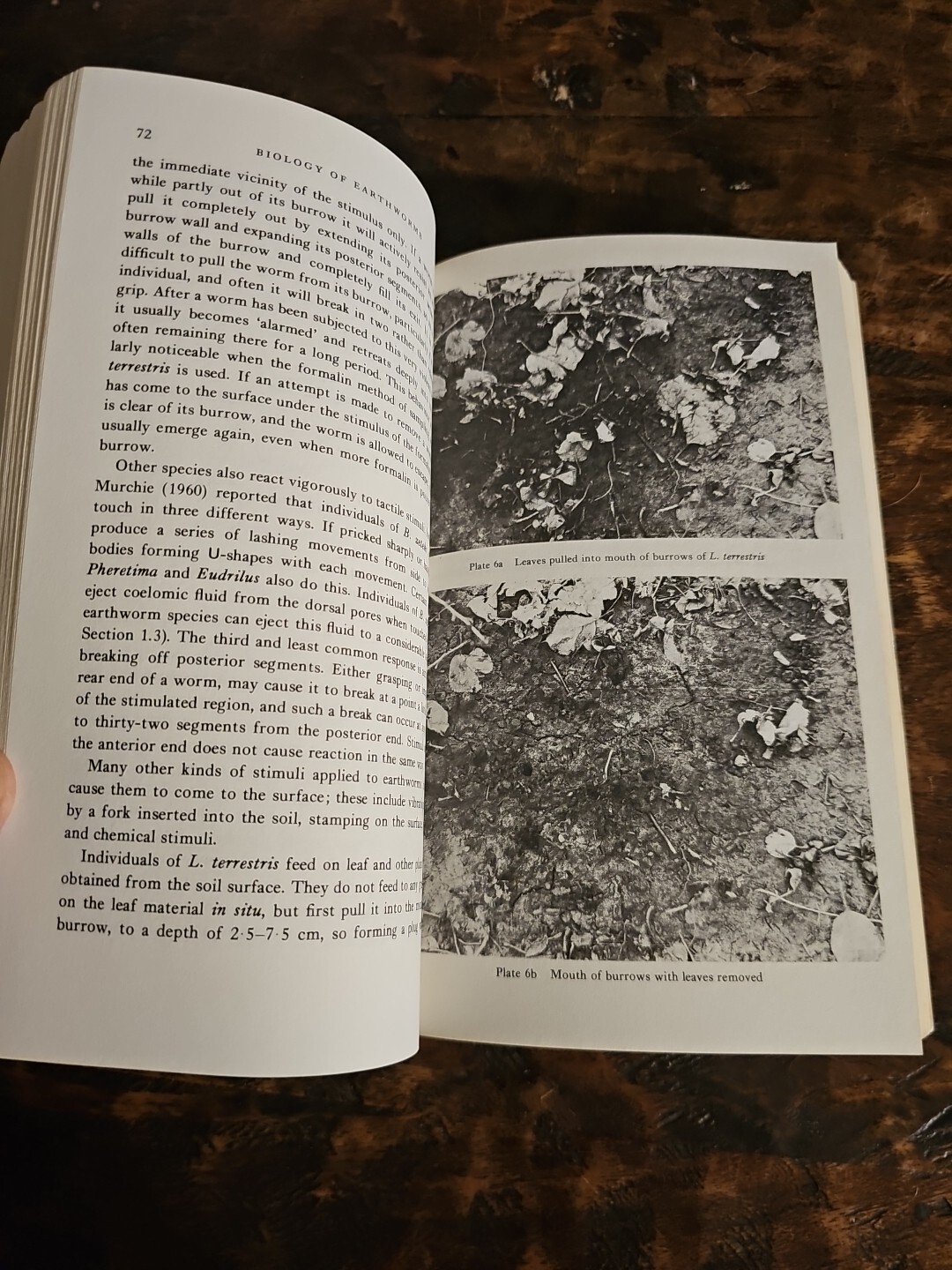 Picture 16 of 18
