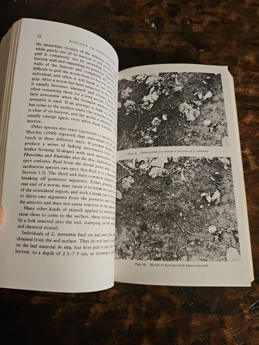Biology Of Earthworms By C.A. Edwards And J.R. Lofty 1972 - Picture 16 of 18