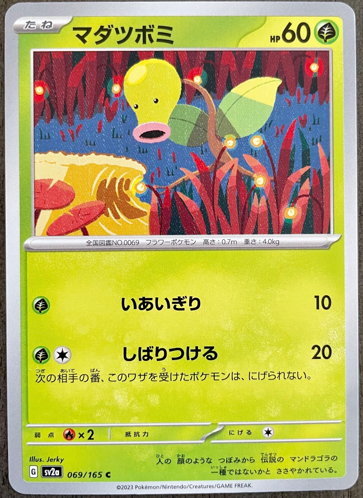 Bellsprout 069/165 Japanese Pokemon Card 151 SV2a - NM - US Seller