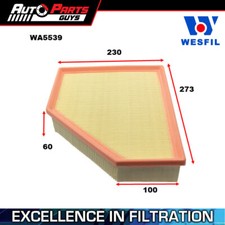 Wesfil Air Filter WA5539 fits Toyota Supra GT A90 3.0L Turbo 2019 - 2024