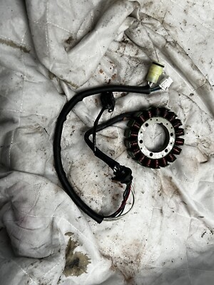 Yamaha Grizzly 350 Stator guter Zustand