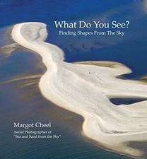 What Do You See? Finding Shapes from The Sky by Margot Cheel