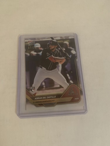 2025 Topps Adrian Del Castillo Base (Raw)