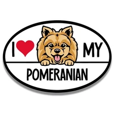 Magnet Me Up I Love My Pomeranian Dog Breed Car Magnet Decal, 4x6 inches