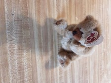 Extra rare Ty Cody beanue baby