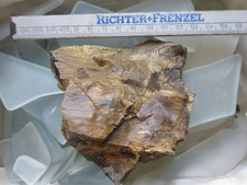 Opal sog. Holzopal Diatomeen Niederofleiden Hessen, 212 g Sammlungsauflösung