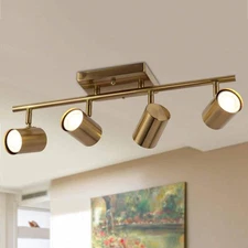 Zevni 1.6 ft. 4-Light Brass Gold Modern Track Lighting Kit Linear Rotating Head