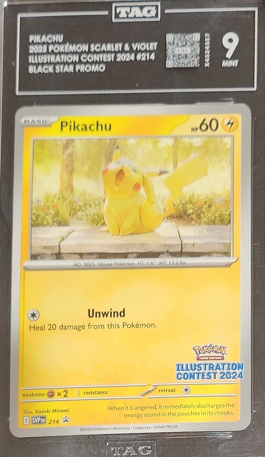 Pokémon Pikachu 214 Scarlet & Violet Illustration Contest Black Star Promo TAG 9