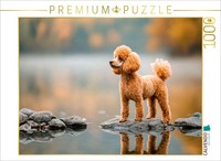 Calvendo Puzzle Poodles On An Adventure | 1000 Pieces, Finished Size 25.2 × 18.9