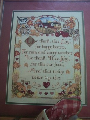 Country Grace Thank You Magazine Cross Stitch Pattern (B)