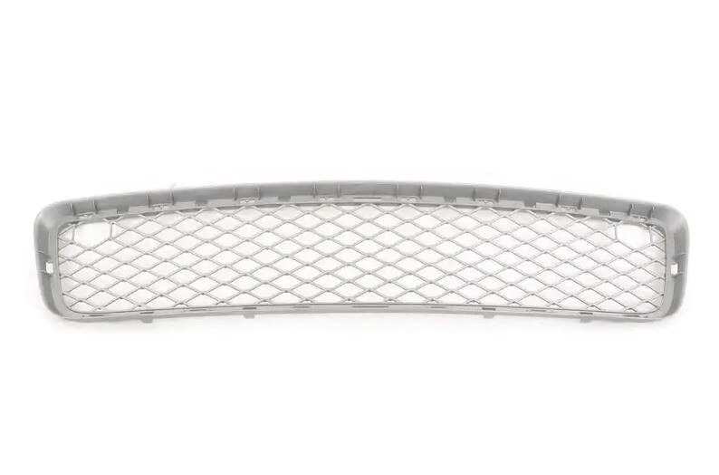 Genuine BMW X5 E70 Front Bumper Lower Center Grille 51117163957 