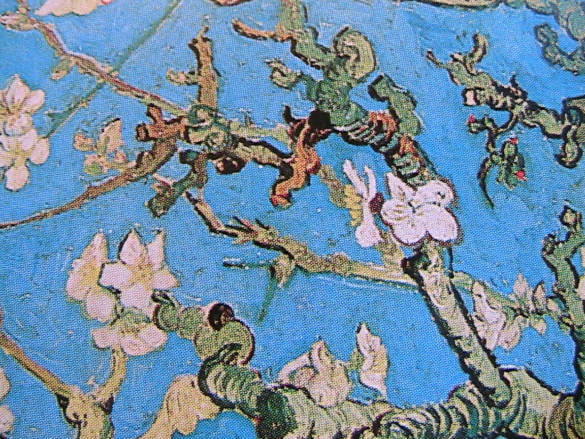 Biglietto D'auguri Wee Blue Coo Con Opera Di Van Gogh 'Rami Di Mandorlo In Fiore' - 12,5x17,5 Cm - Fatto In Scozia