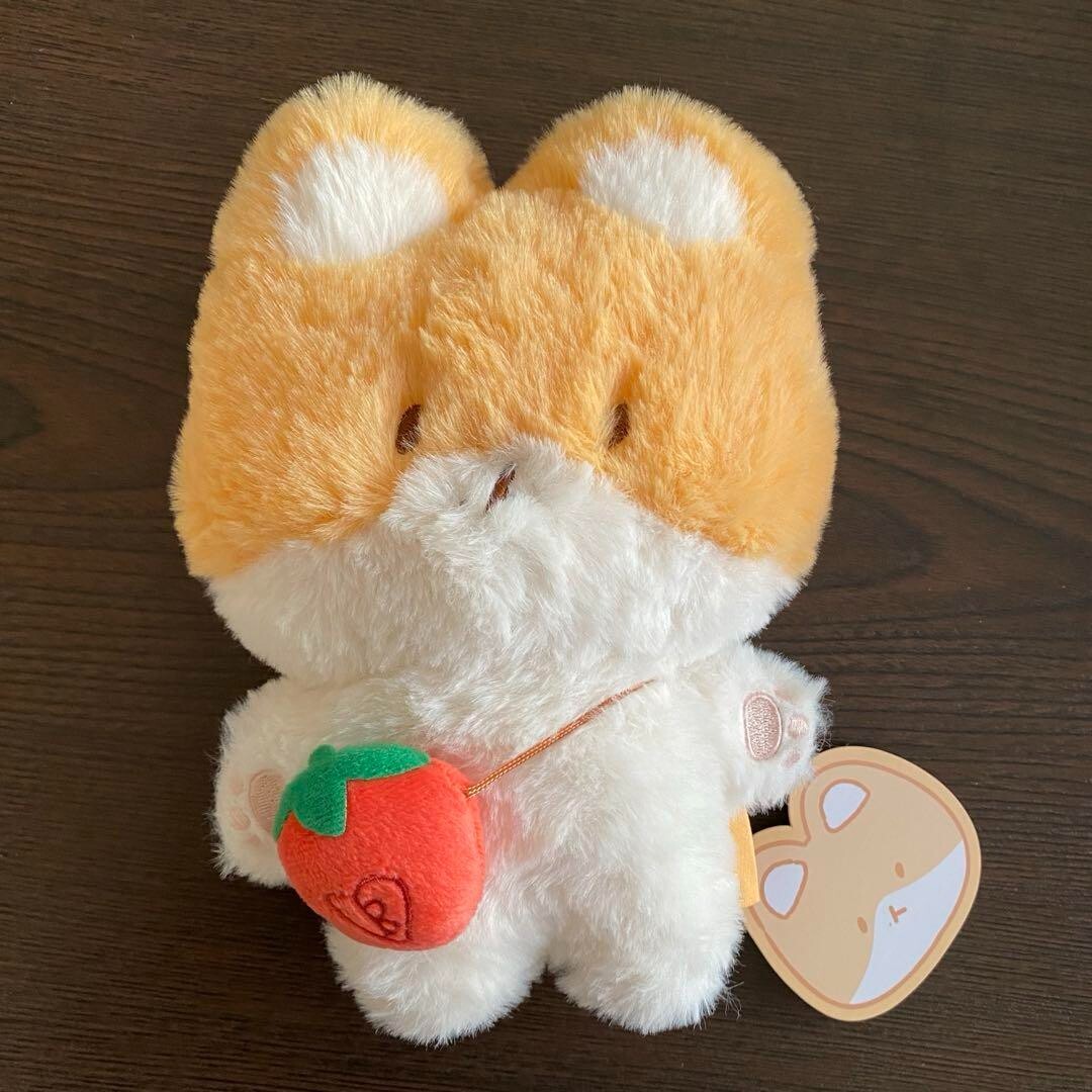 TEOLAEGI BAEKHYUN Pluch Doll Toy Hobby Official goods EXO Idol K