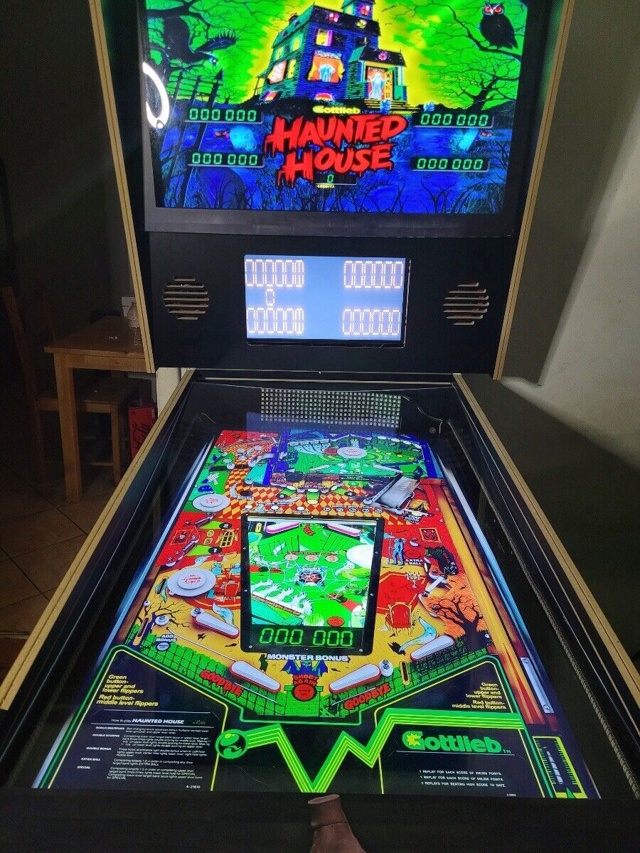 43 inch virtual pinball machine - FLIPPATASTIC - modern art - made for  arcade