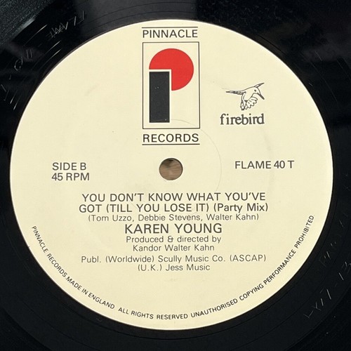 Karen Young You Don't Know What You've Got 1983 12" Single Vinyl Record - Picture 2 of 5