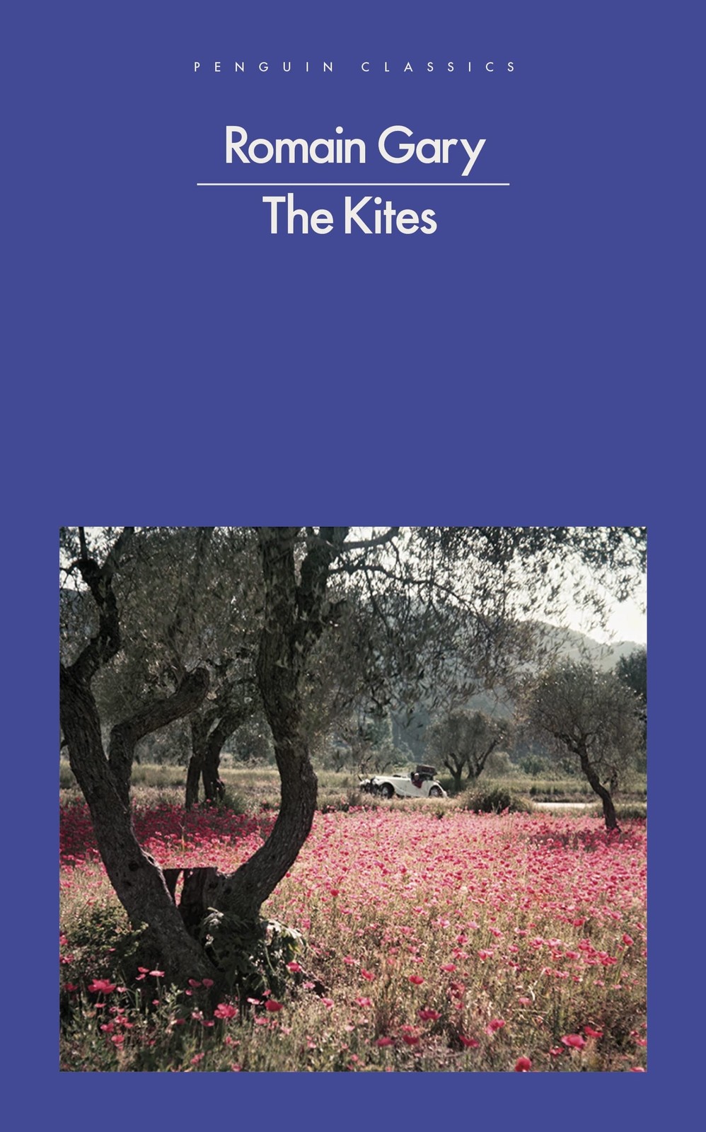 The Kites (Penguin Modern Classics), Gary, Mouillot New,. - Image 5